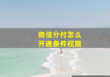 微信分付怎么开通条件权限