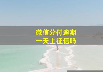 微信分付逾期一天上征信吗