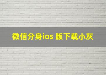 微信分身ios 版下载小灰