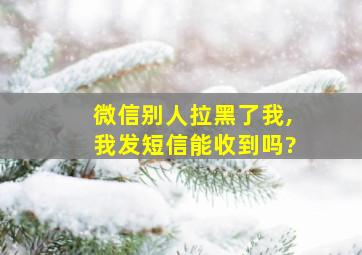 微信别人拉黑了我,我发短信能收到吗?