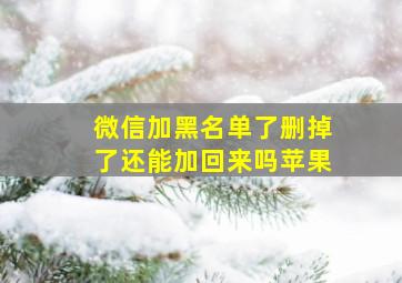 微信加黑名单了删掉了还能加回来吗苹果