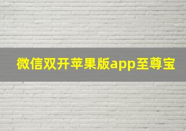 微信双开苹果版app至尊宝