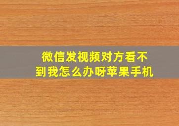 微信发视频对方看不到我怎么办呀苹果手机