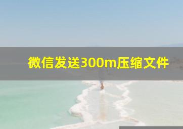 微信发送300m压缩文件