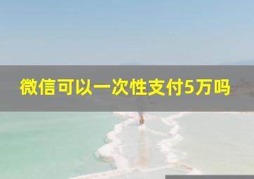 微信可以一次性支付5万吗