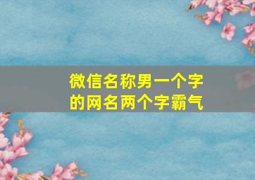 微信名称男一个字的网名两个字霸气