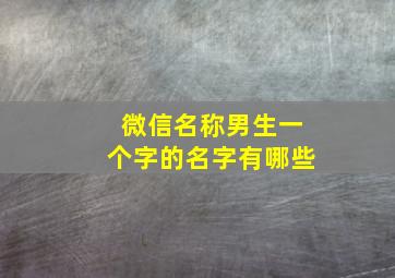 微信名称男生一个字的名字有哪些