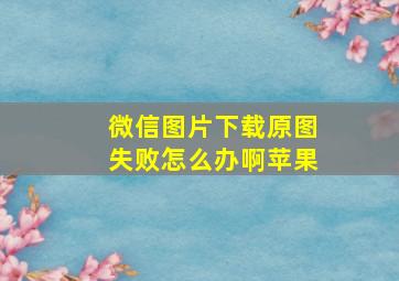 微信图片下载原图失败怎么办啊苹果