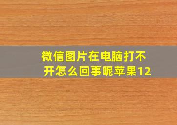 微信图片在电脑打不开怎么回事呢苹果12