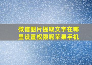 微信图片提取文字在哪里设置权限呢苹果手机