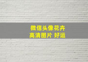 微信头像花卉高清图片 好运