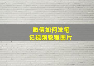 微信如何发笔记视频教程图片