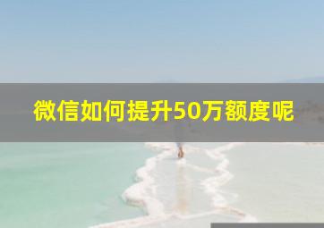 微信如何提升50万额度呢