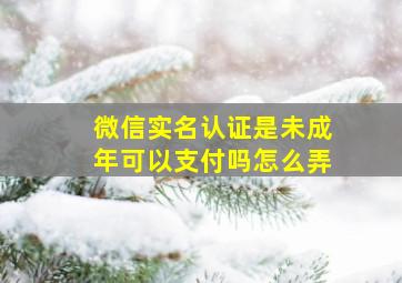 微信实名认证是未成年可以支付吗怎么弄