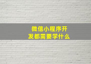 微信小程序开发都需要学什么