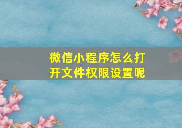 微信小程序怎么打开文件权限设置呢