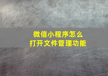 微信小程序怎么打开文件管理功能