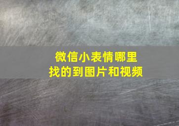 微信小表情哪里找的到图片和视频