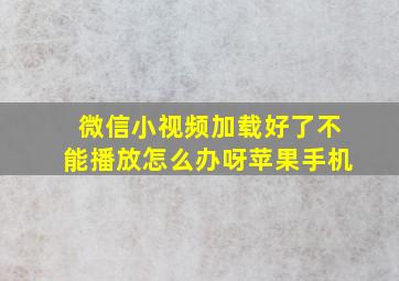 微信小视频加载好了不能播放怎么办呀苹果手机