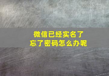 微信已经实名了忘了密码怎么办呢