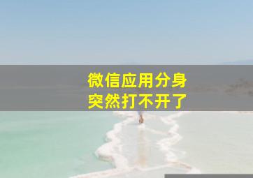 微信应用分身突然打不开了