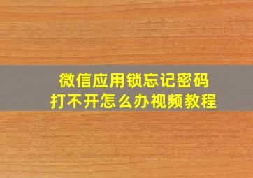 微信应用锁忘记密码打不开怎么办视频教程