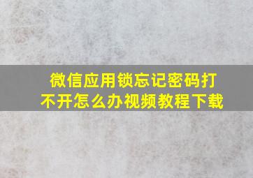 微信应用锁忘记密码打不开怎么办视频教程下载