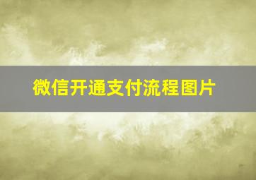 微信开通支付流程图片