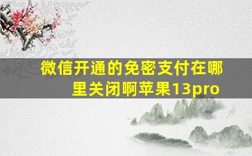 微信开通的免密支付在哪里关闭啊苹果13pro