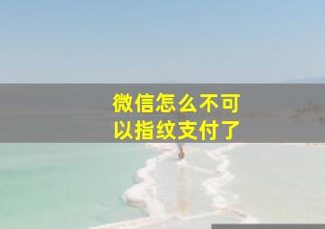 微信怎么不可以指纹支付了