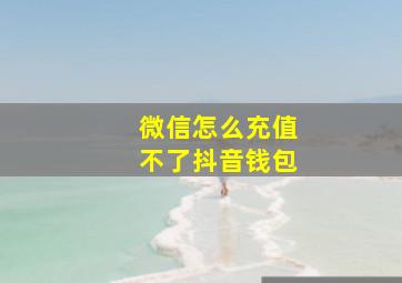 微信怎么充值不了抖音钱包