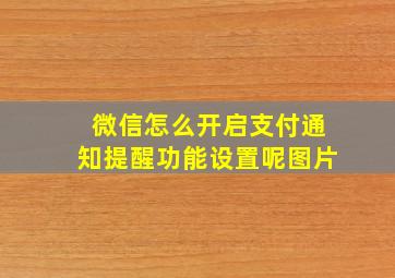 微信怎么开启支付通知提醒功能设置呢图片