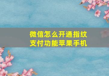 微信怎么开通指纹支付功能苹果手机