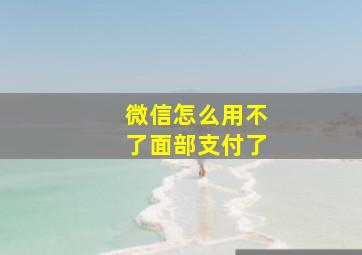 微信怎么用不了面部支付了