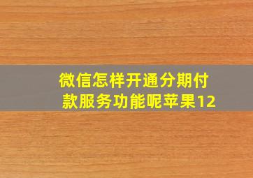 微信怎样开通分期付款服务功能呢苹果12