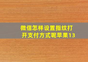 微信怎样设置指纹打开支付方式呢苹果13