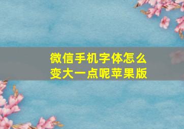 微信手机字体怎么变大一点呢苹果版