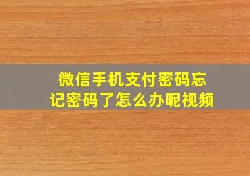 微信手机支付密码忘记密码了怎么办呢视频