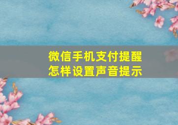 微信手机支付提醒怎样设置声音提示