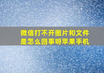 微信打不开图片和文件是怎么回事呀苹果手机