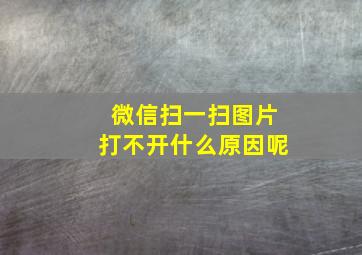 微信扫一扫图片打不开什么原因呢