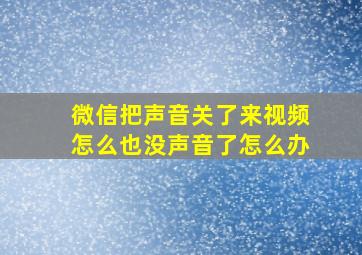 微信把声音关了来视频怎么也没声音了怎么办