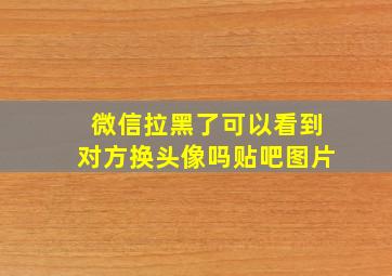 微信拉黑了可以看到对方换头像吗贴吧图片