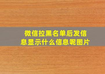 微信拉黑名单后发信息显示什么信息呢图片