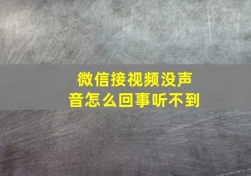 微信接视频没声音怎么回事听不到