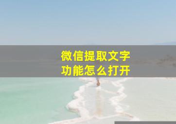 微信提取文字功能怎么打开