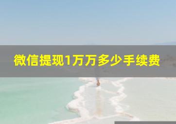 微信提现1万万多少手续费