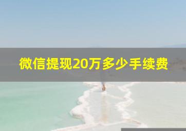 微信提现20万多少手续费