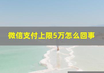 微信支付上限5万怎么回事