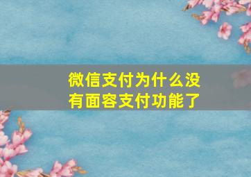 微信支付为什么没有面容支付功能了